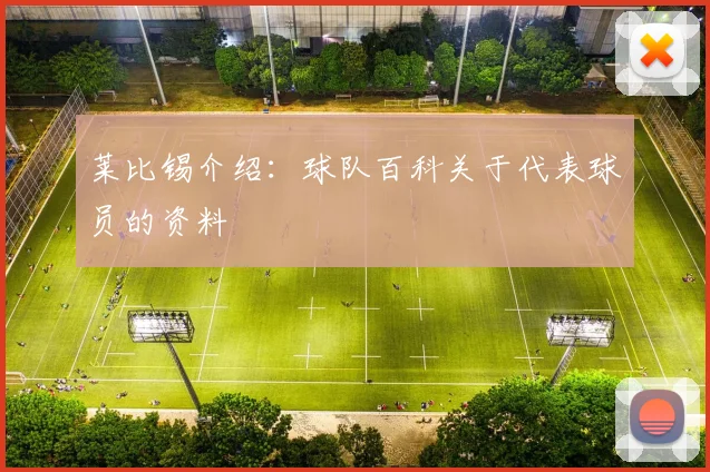 莱比锡介绍:球队百科关于代表球员的资料