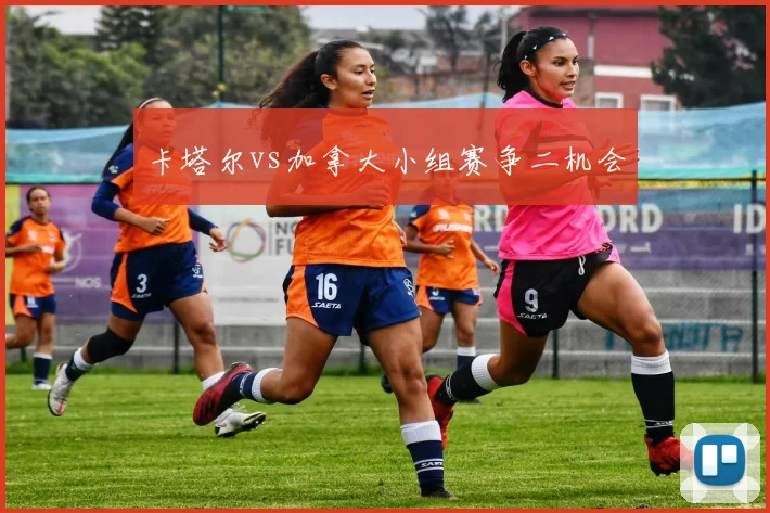 卡塔尔vs加拿大小组赛争二机会