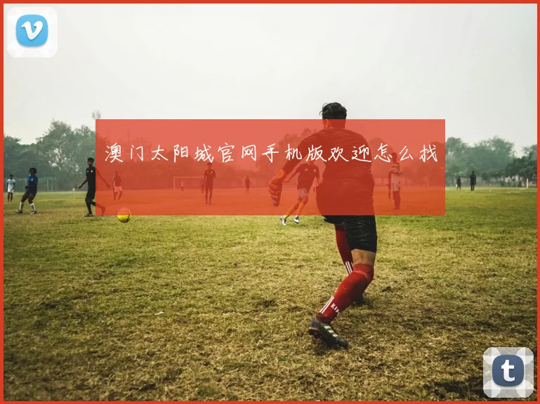 澳门太阳城官网手机版欢迎怎么找